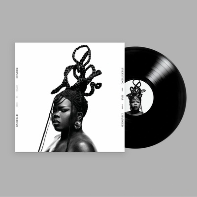 Danielle Ponder - Everything Has Changed LP