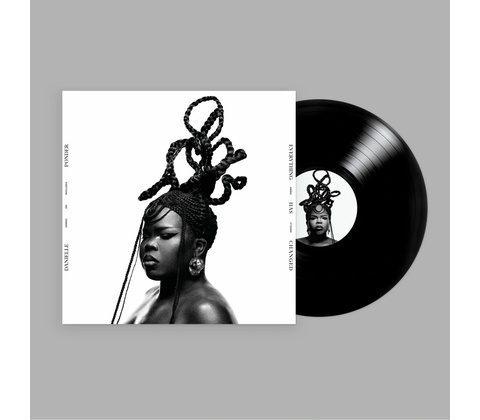 Danielle Ponder - Everything Has Changed LP