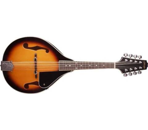 Stagg M20 S