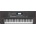 Roland E-X50