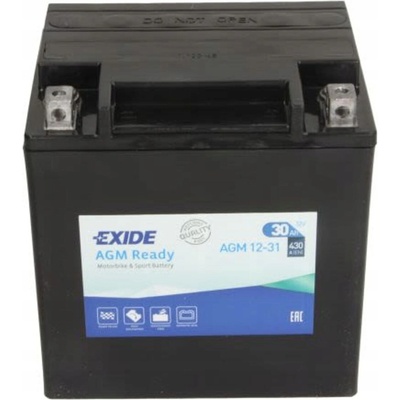 Exide AGM12-31