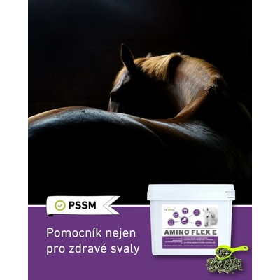 Dromy Amino Flex 6 kg