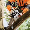 Image 1 of STIHL MSA 161 T (12522000068)