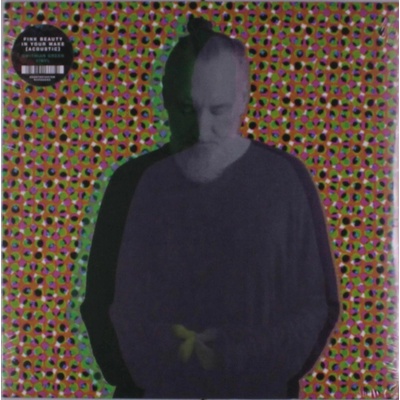 Fink - Beauty In Your Wake Acoustic (iex) LP