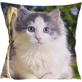 Forbyt Mačiatko 40 x 40 cm