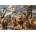 Educa - Puzzle Wild Animals - 1 000 piese