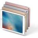 Apple iPad Pro 9.7 Wi-Fi+Cellular 256GB MLQ72FD/A