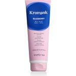 Inebrya Kromask coloring nourishing mask blueberry 250 ml