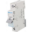 Hager MCS116
