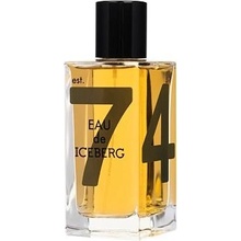 Iceberg Eau de Iceberg Amber toaletní voda pánská 100 ml