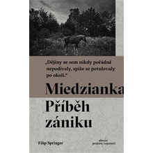 Miedzianka - Filip Springer