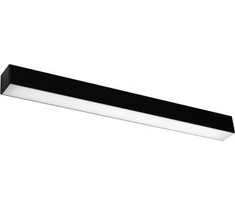 Thoro TH.039