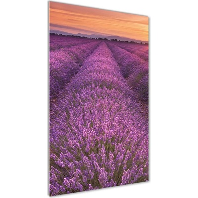 Vertikálny foto obraz fotografie na skle Pole levanduľe 50x100 cm
