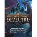 Pillars of Eternity 2: Deadfire Beast of Winter