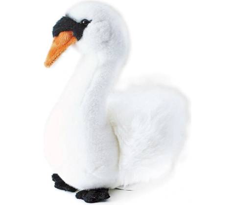 Labuť