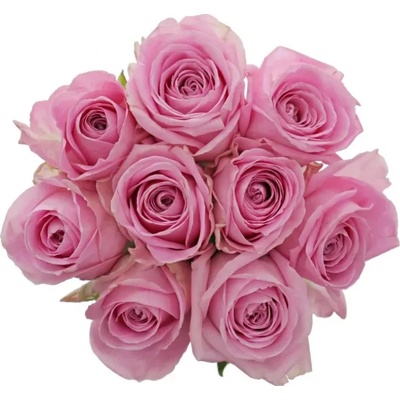 Kytice 9 růžových růží HEIDI! 60cm