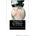 Createspace Independent Publishing Platform Justine Ou Les Malheurs De La Vertu | Marquis De Sade
