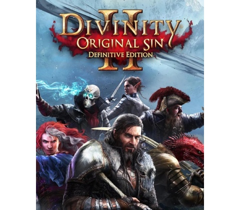 Divinity: Original Sin 2