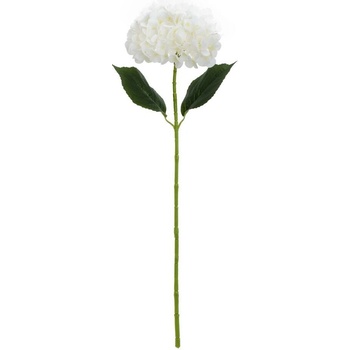 KS HYDRANGEA BIELA 66CM