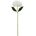 KS HYDRANGEA BIELA 66CM