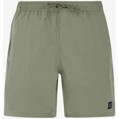 Protest Мъжки плажни шорти Protest PRTBAKY Protest | Zelen | МЪЖЕ | L