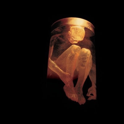 Nothing Safe: Best of - Alice in Chains CD