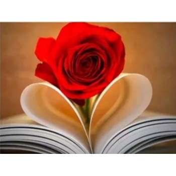Image 1 of Червена роза и книга 40/30 см