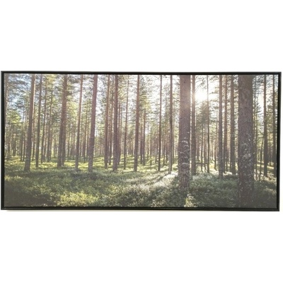 Bondecor Obraz "V lese" - tisk na plátno vložené do MDF rámu, 102x51cm Barva: Černý rám