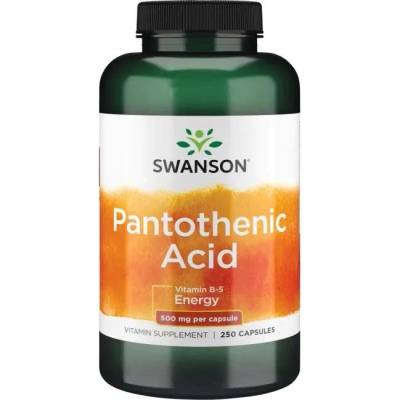 Swanson Pantothenic Acid, 500 mg, 250 капсули, Swanson (SW065)