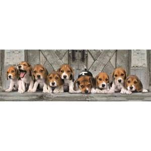 Clementoni Клементон: Пъзел панорама с кучета Beagle - 1000 части (39869)