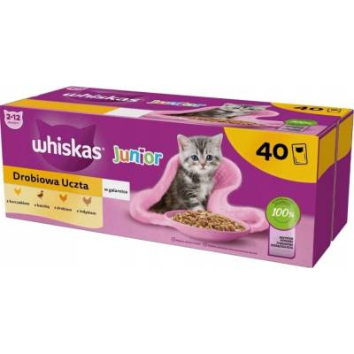 WHISKAS Junior Poultry in jelly Box 40 x 85 g