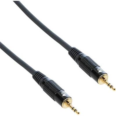 Bespeco Екраниран кабел Bespeco - EA2M300, 3 m, черен (EA2M300)