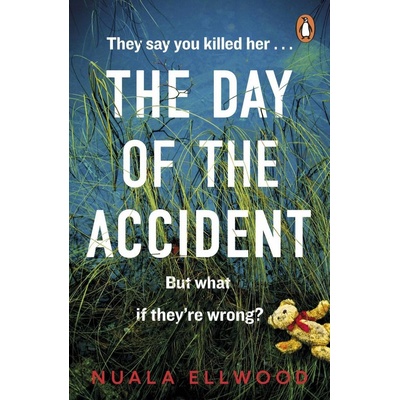 The Day of the Accident - Nuala Ellwood