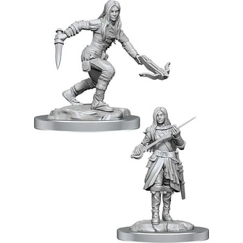 WizKids Dungeons & Dragons Nolzur s Marvelous Miniatures: Polovičný elf Rogue Female