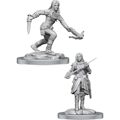 WizKids Dungeons & Dragons Nolzur s Marvelous Miniatures: Polovičný elf Rogue Female