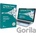 GCOM LANGUAGE PRACTICE C1 ADVANC P