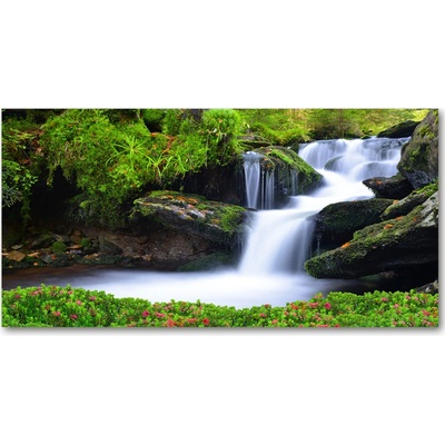 Fotoobraz na skle Vodopád v lese 100x50 cm
