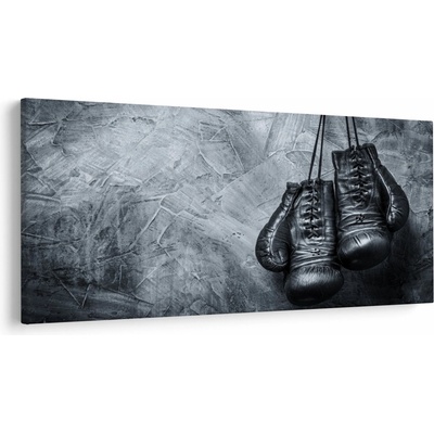 Obraz - Boxerské rukavice, jednodielne 250x125 cm