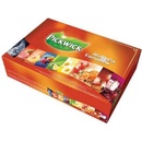Pickwick Horeca Variace 100 ks