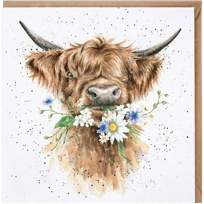 Wrendale Designs Přání Wrendale Designs "Daisy Coo ", 15x15 cm - Kráva