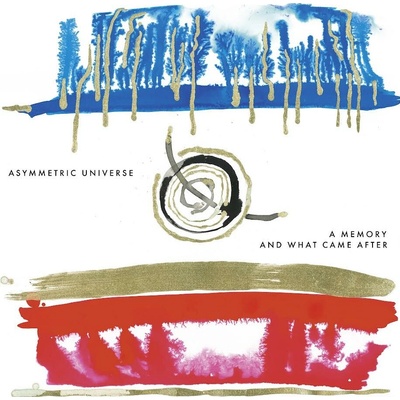 Asymmetric Universe - Memory And What Came After / Vinyl [LP]