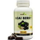 Doplňky stravy Energie života ACAI Berry extrakt prášek 100 g