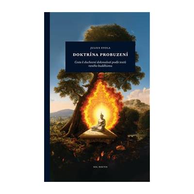 Doktrína probuzení Cesta k duchovní dokonalosti podle textů raného buddhismu - Evola Julius