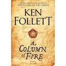 A Column of Fire