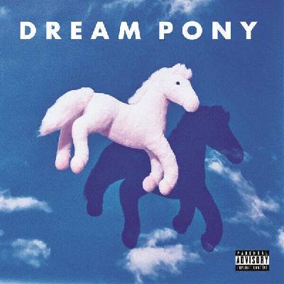 Dream Pony - Suspicion Today (LP) (8721018014620)