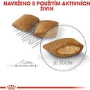 Granule pre psov Royal Canin Mini Exigent 1 kg
