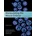 MANIPULATING MOUSE EMBRYO 4E Behringer Richard PH.D.