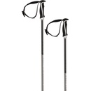 Völkl Phantastick 2024/25