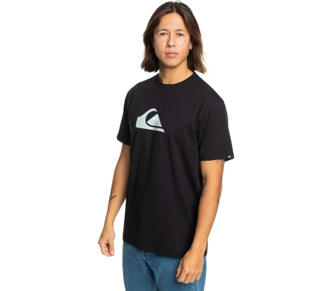 Quiksilver COMP LOGO