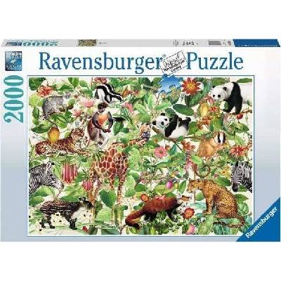 Ravensburger Dżungla 168248 p6 2000 dielov